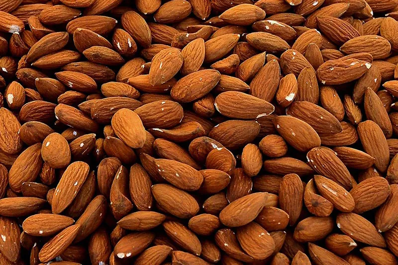 Amêndoa