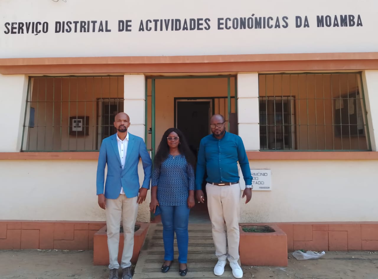 SDAE Moamba