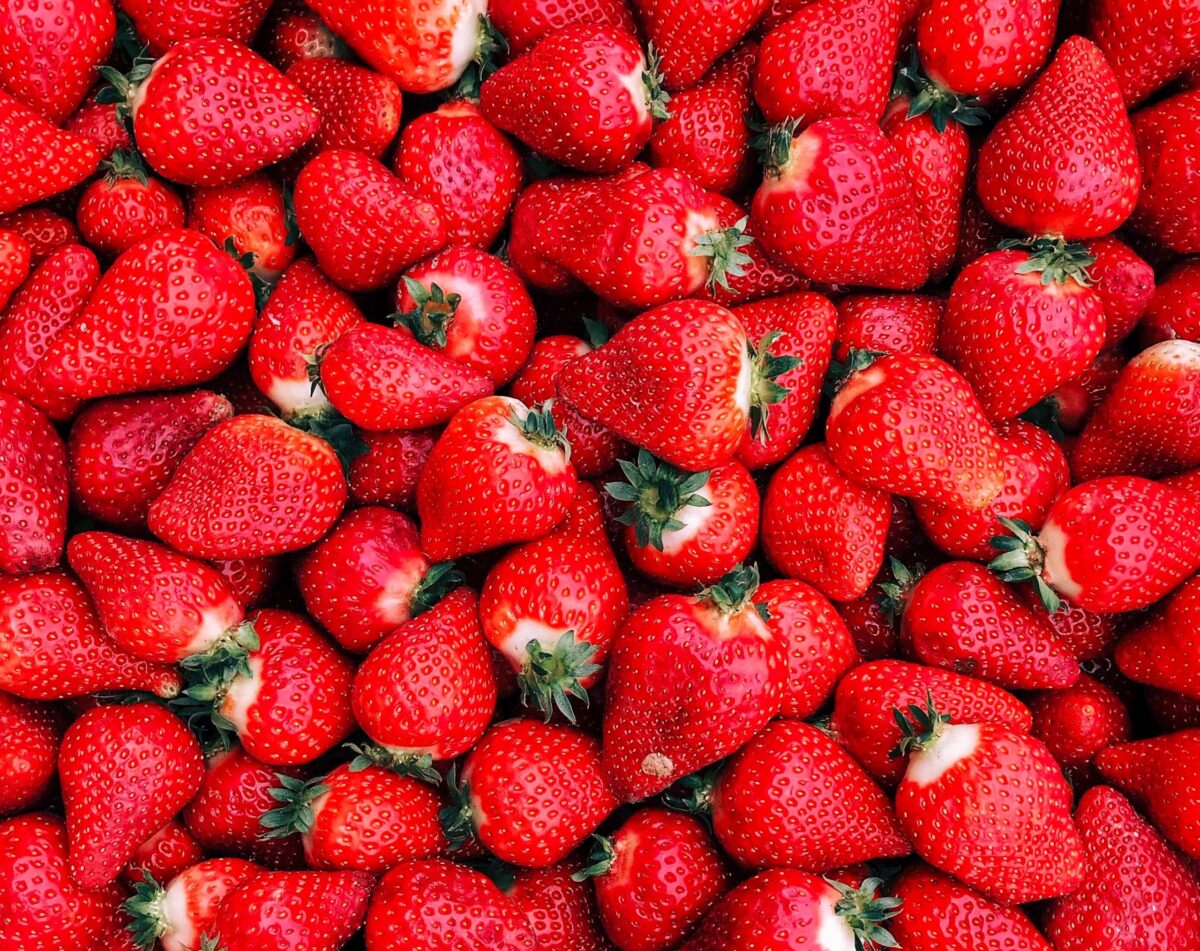 Morango