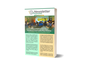 Newsletter ExportaMoz| Outubro 2025