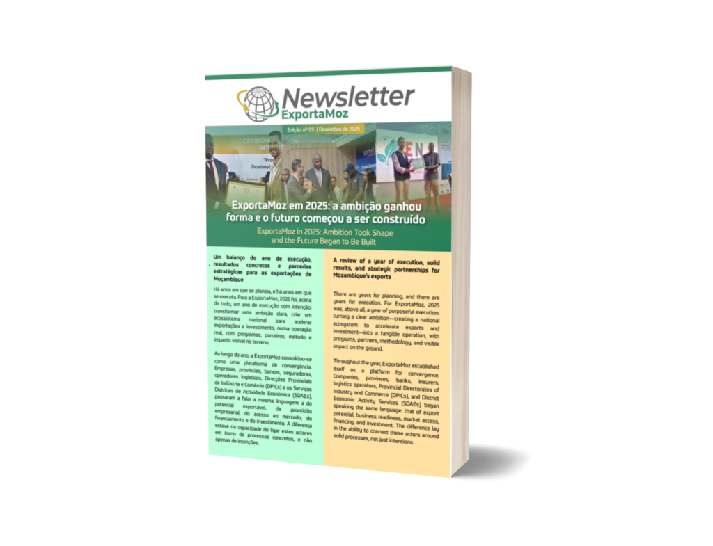 𝐍𝐞𝐰𝐬𝐥𝐞𝐭𝐭𝐞𝐫 𝐄𝐱𝐩𝐨𝐫𝐭𝐚𝐌𝐨𝐳 | 𝐄𝐝𝐢𝐜̧𝐚̃𝐨 𝐄𝐬𝐩𝐞𝐜𝐢𝐚𝐥 | 𝐃𝐞𝐳𝐞𝐦𝐛𝐫𝐨 𝟐𝟎𝟐𝟓